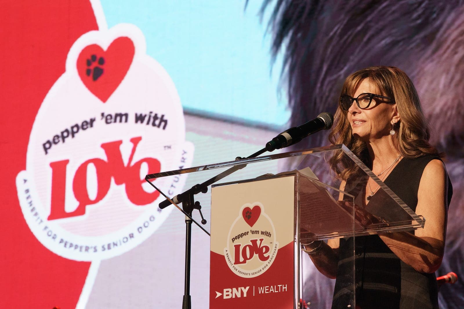 Non-profit event speaker